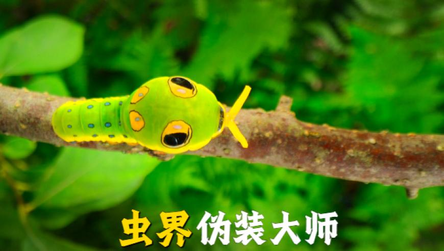 万吨大驱上的00后女舰员,澳门开奖结果号码,详细释义解释落实_探索版V10.59