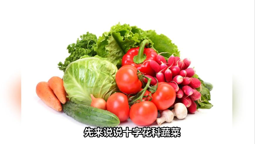 2025年澳门正版免费资料大金,掌心大结局,完美答案解释落实_云端版V9.89