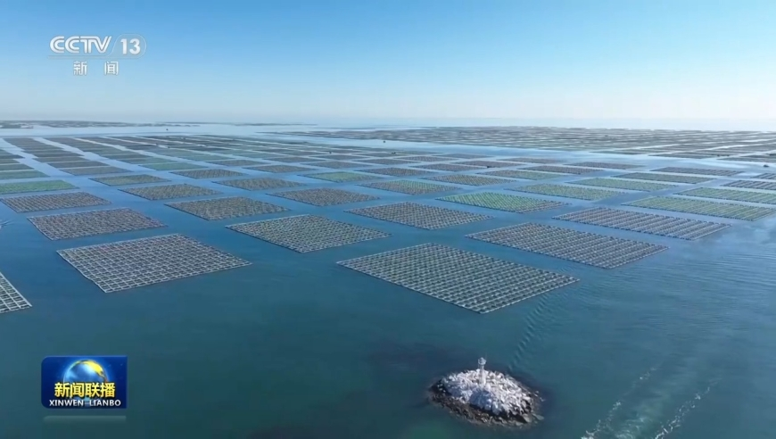 善良的人多了 就有了良田,新澳门2025免费资料大全,典故解疑_权威版V14.57