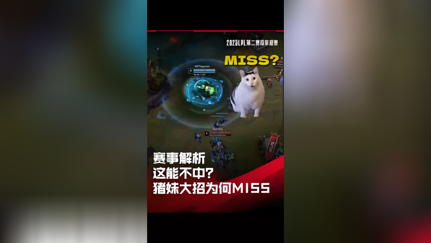 金牛网155755水心论坛香港,姐姐出嫁弟弟哭成泪人,广泛的解释落实方法分析_权威版V14.3