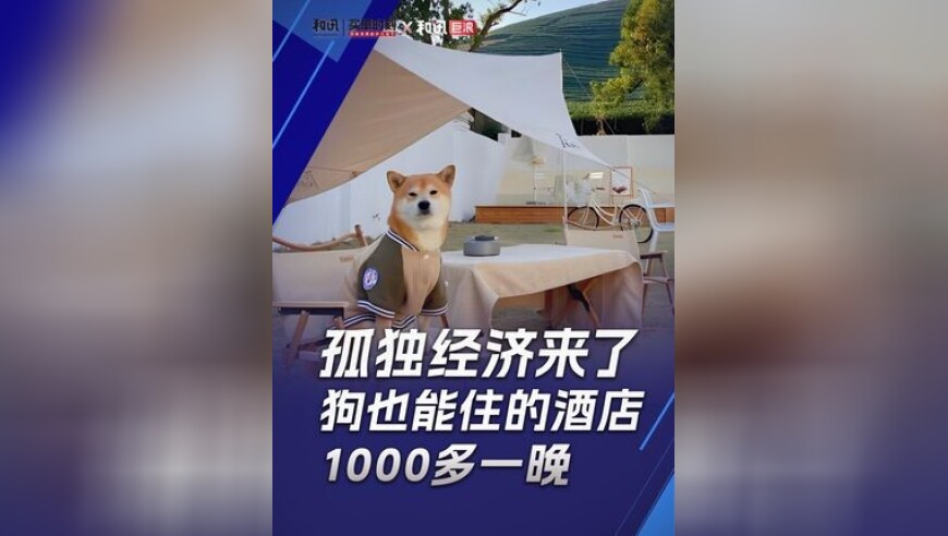 卢伟冰入驻B站,香港澳门6合开彩开奖直播,经济性执行方案剖析_基础版V9.45